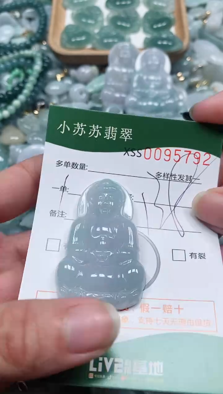 【闪购商品】翡翠颈饰未镶嵌闪购商品0095792