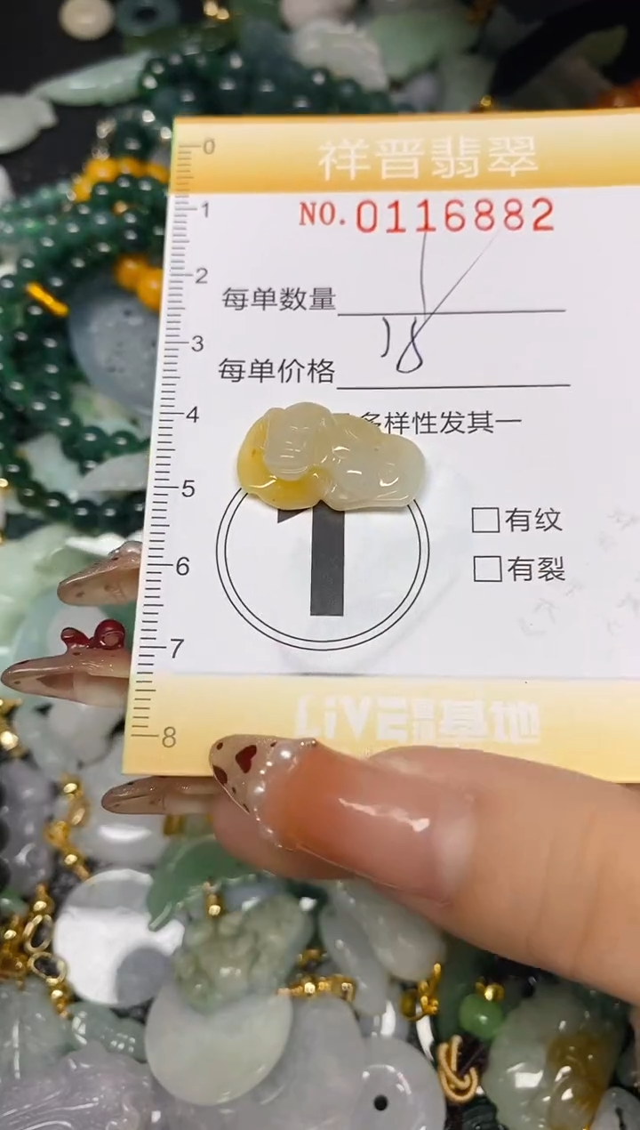 【闪购商品】翡翠颈饰未镶嵌闪购0116882