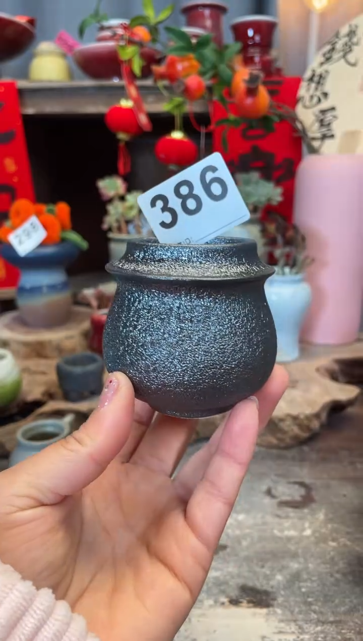 【闪购商品】摆件386知木小芳花盆