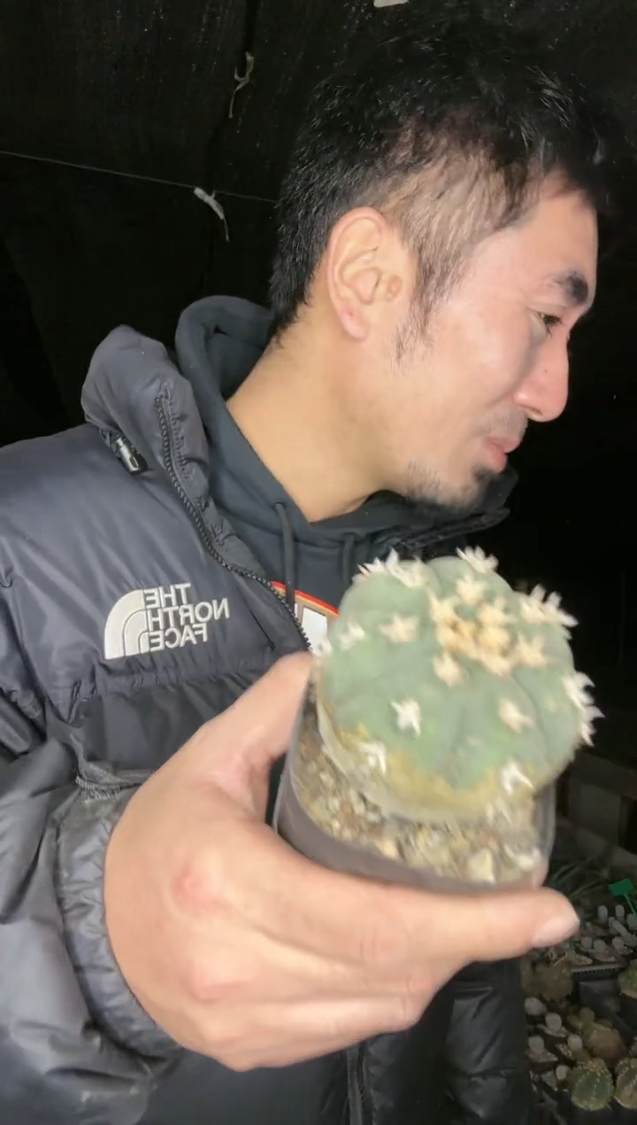 【闪购商品】大猫抓1111