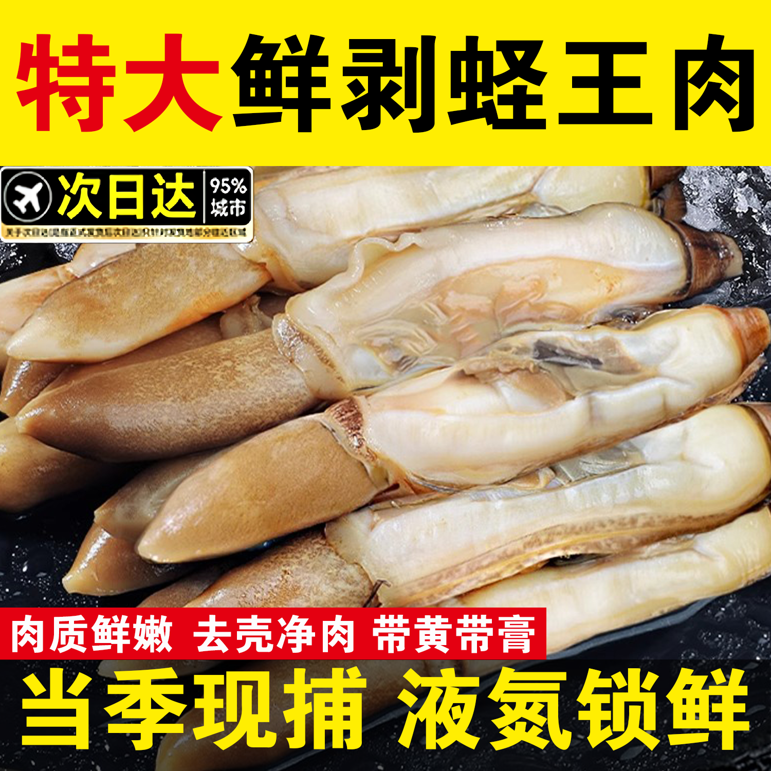 【今年新货】大号蛏王肉新鲜现捕现剥无沙去壳蛏子肉冷冻竹节蛏
