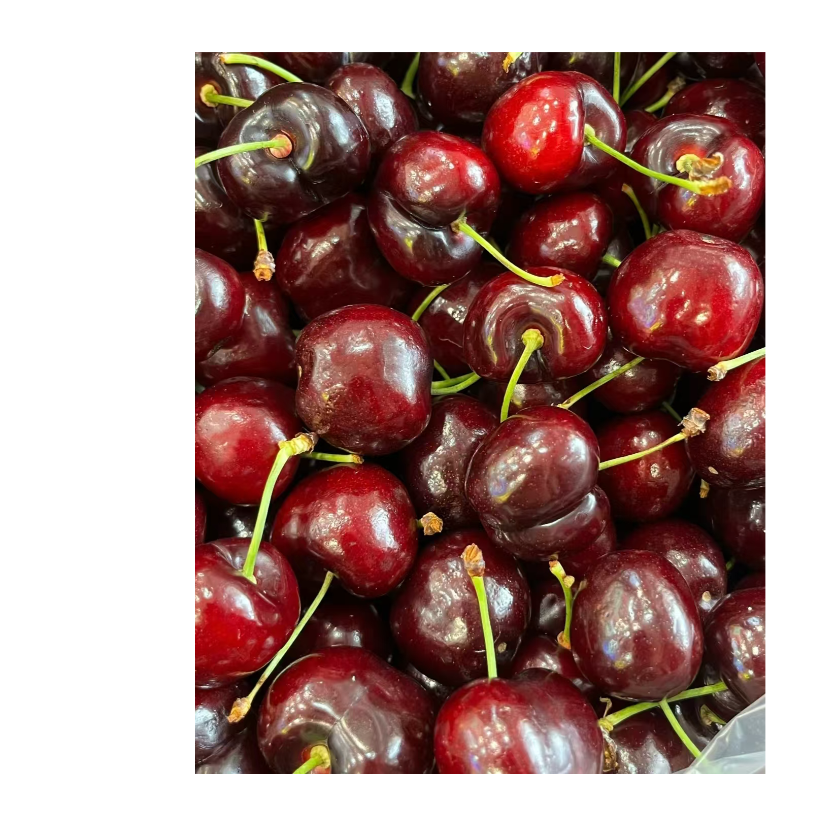  智利车厘子 一斤装 海运 4JD级马来西亚