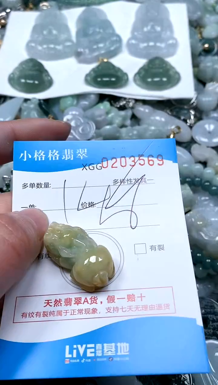 【闪购商品】翡翠颈饰未镶嵌闪购商品0203569