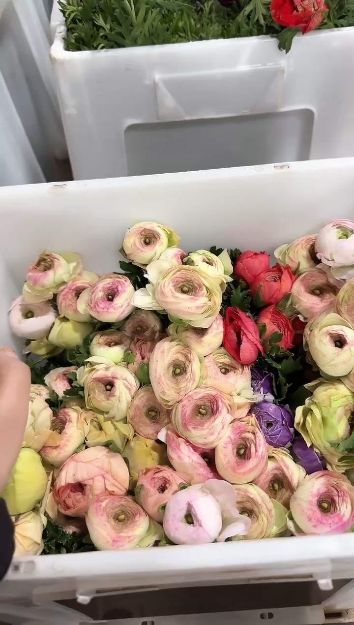 圈*定向 圈圈直播间