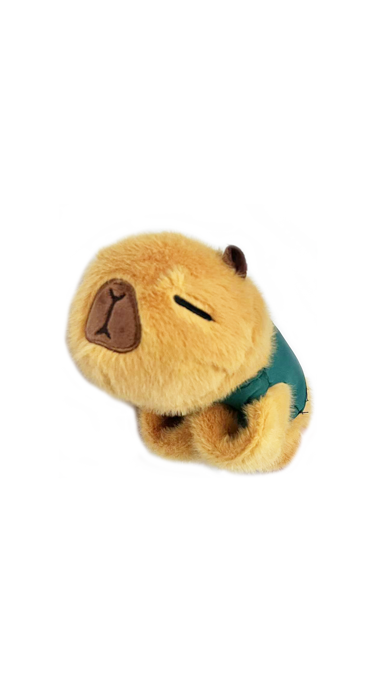 卡皮巴拉啪啪圈