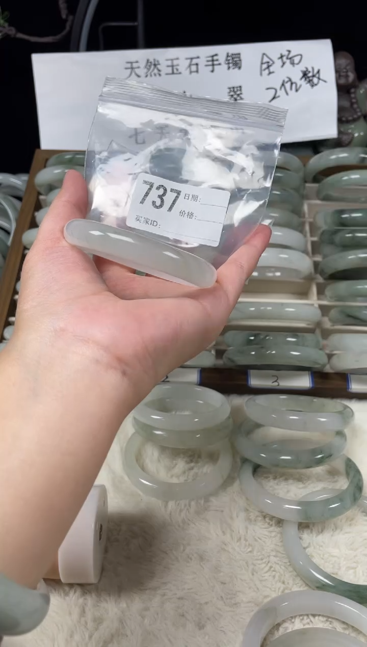 未镶嵌手镯石英质玉（天山翠）737
