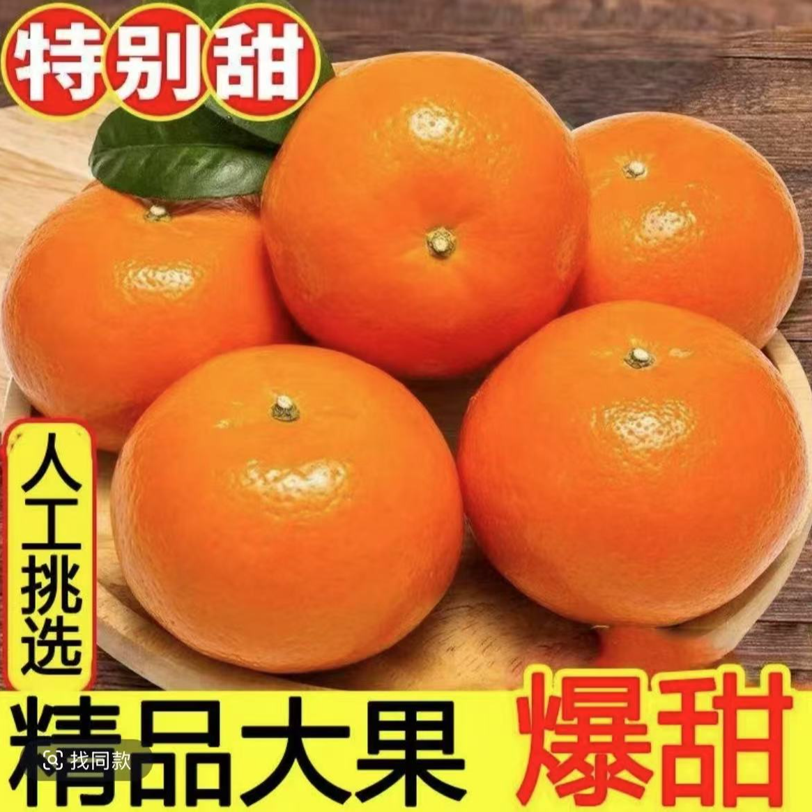 【家乡的时光】云南边境高山老树沃柑新鲜现摘香甜多汁产地直发