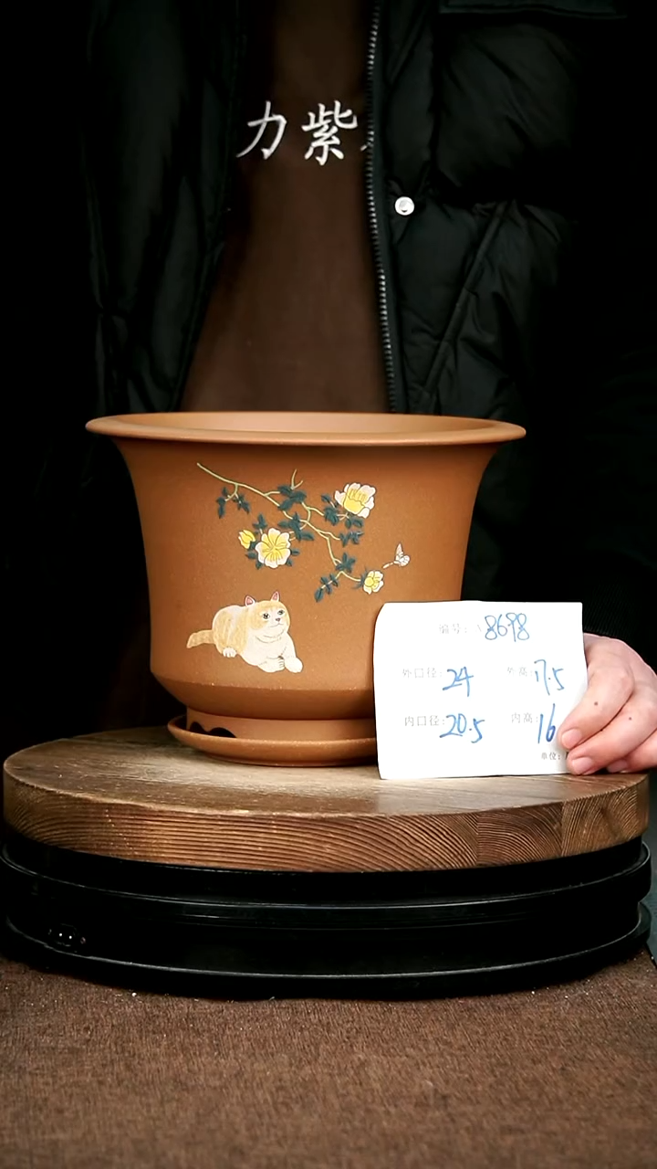 紫砂花盆花卉园艺8698+Z