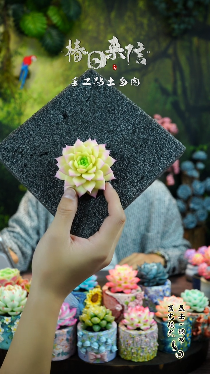 玉色麦秆。。。。。。。。。