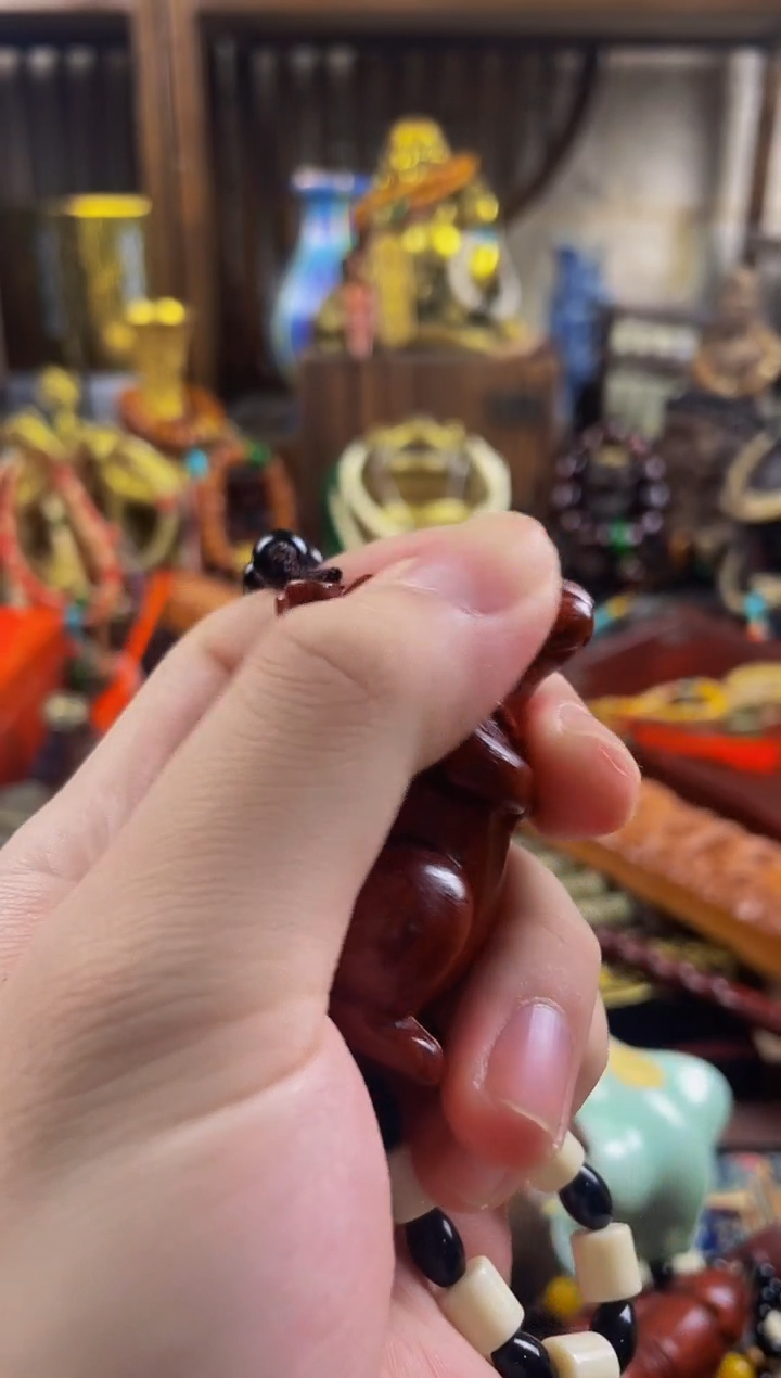 木玄觞贰号直播精选推荐