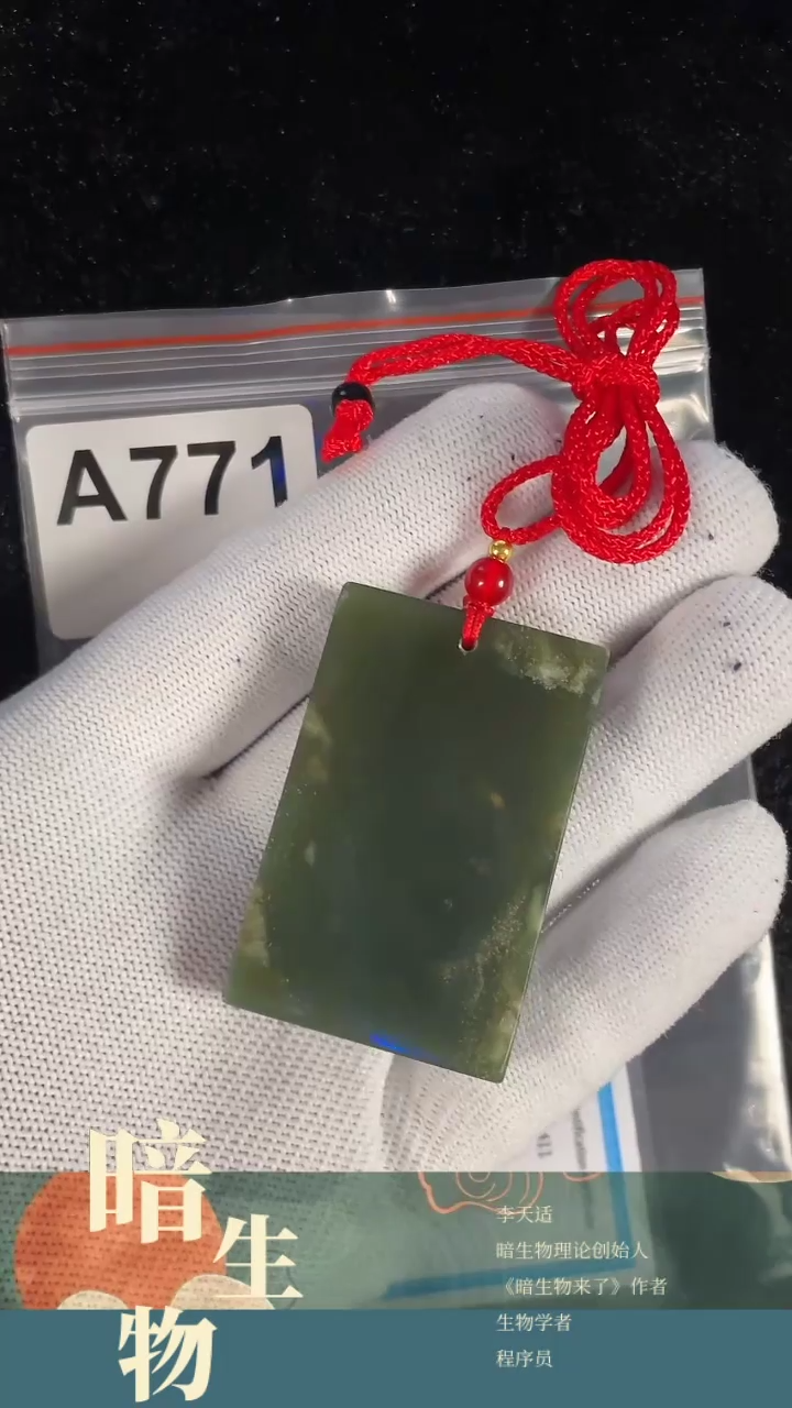 【闪购商品】和田玉吊坠(赠链)未镶嵌771