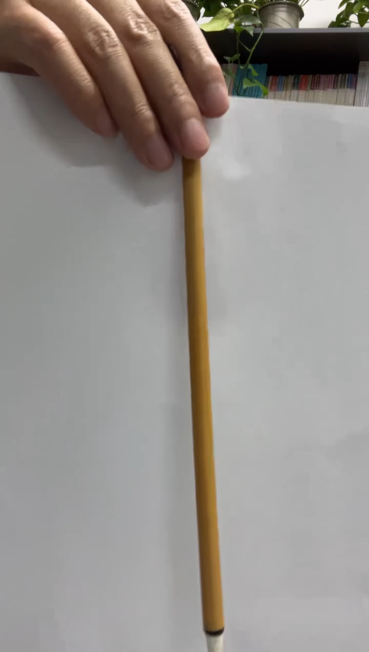晓有名堂 3.0毛笔