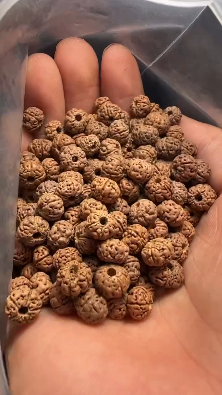 金刚菩提手串非全品老树王散籽8-9mm一份一百颗