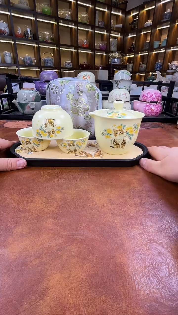 .可爱猫咪旅行套装+猫咪盘