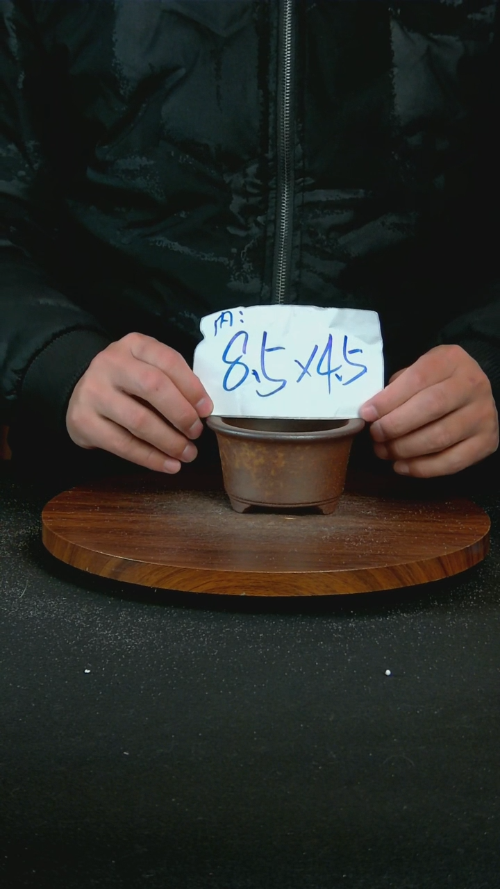 【闪购商品】紫砂T33