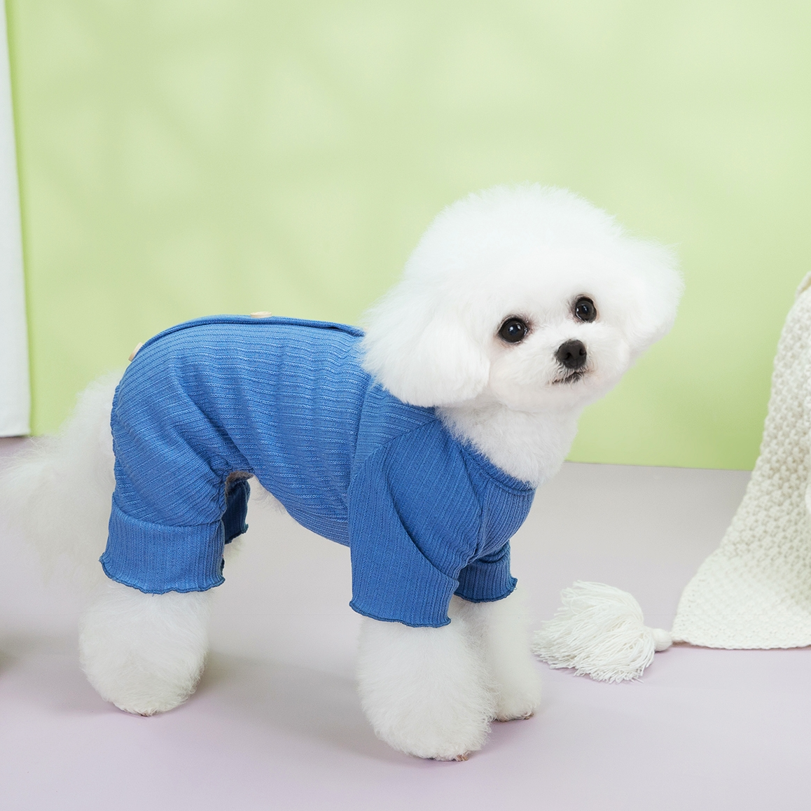 金冠宝贝宠物用品服装春夏轻盈透气亲肤弹力四脚衣比熊泰迪雪纳瑞