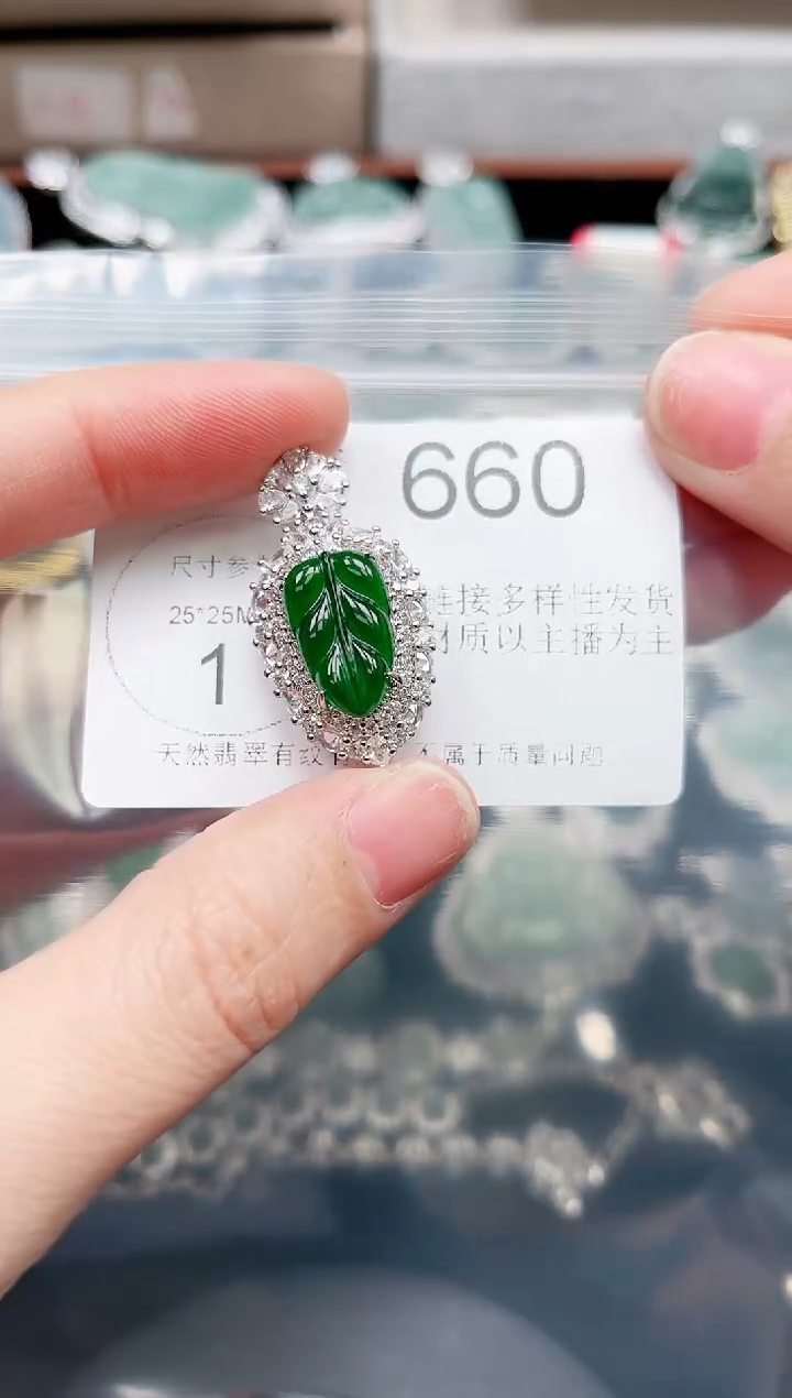 【闪购商品】翡翠颈饰未镶嵌赠皮绳660
