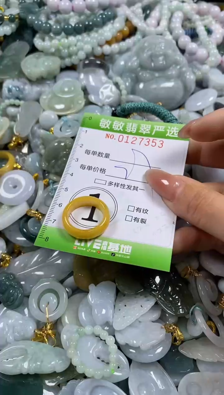 【闪购商品】翡翠颈饰未镶嵌闪购0127353