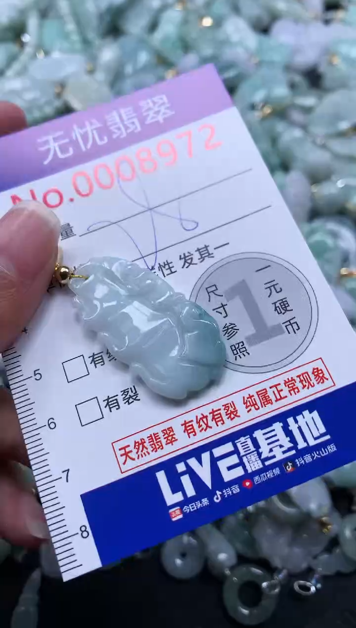 颈饰未镶嵌翡翠8972