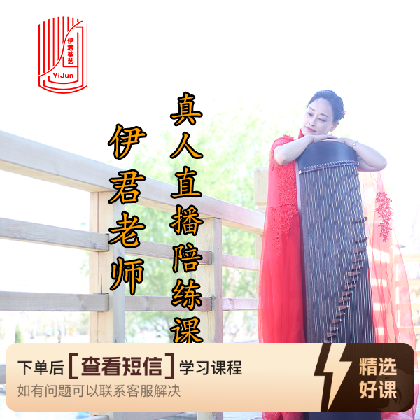 伊君老师真人直播带练课（留意短信解锁课程）