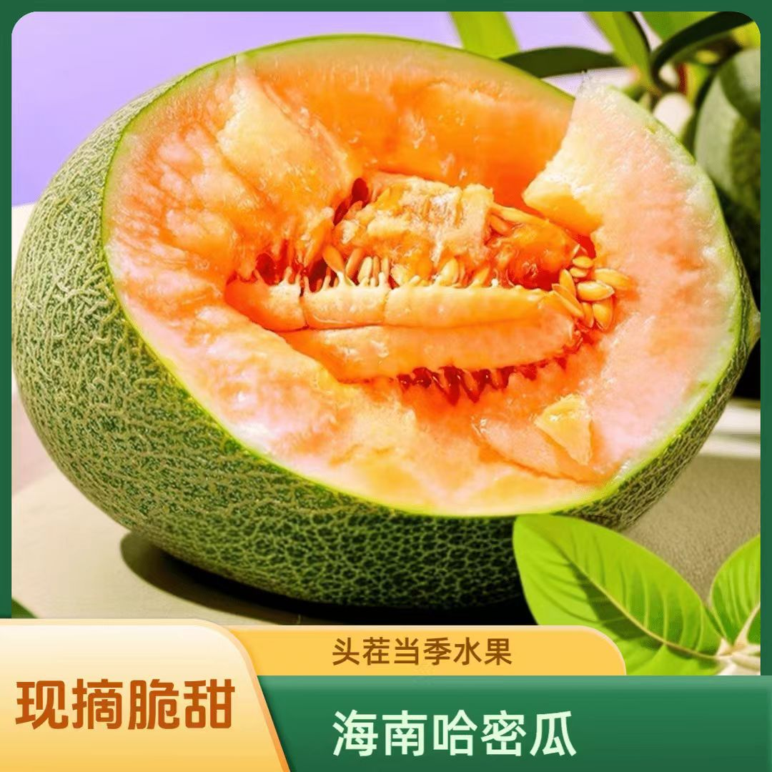 【产地直发】正宗海南沙地哈密瓜自然成熟脆甜可口新鲜采摘真的好甜
