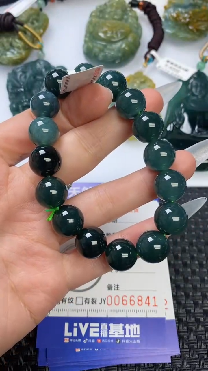 【闪购商品】翡翠颈饰未镶嵌1111111111111111