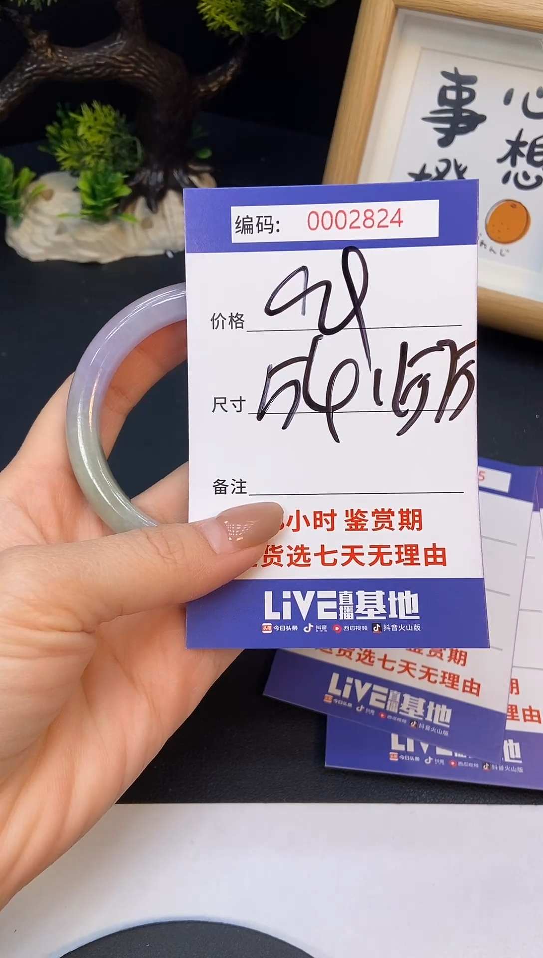 未镶嵌手镯翡翠0002824
