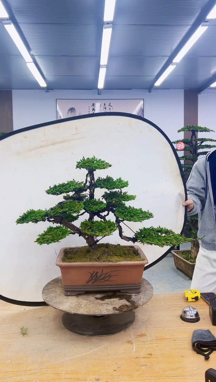 无花朵00000000000