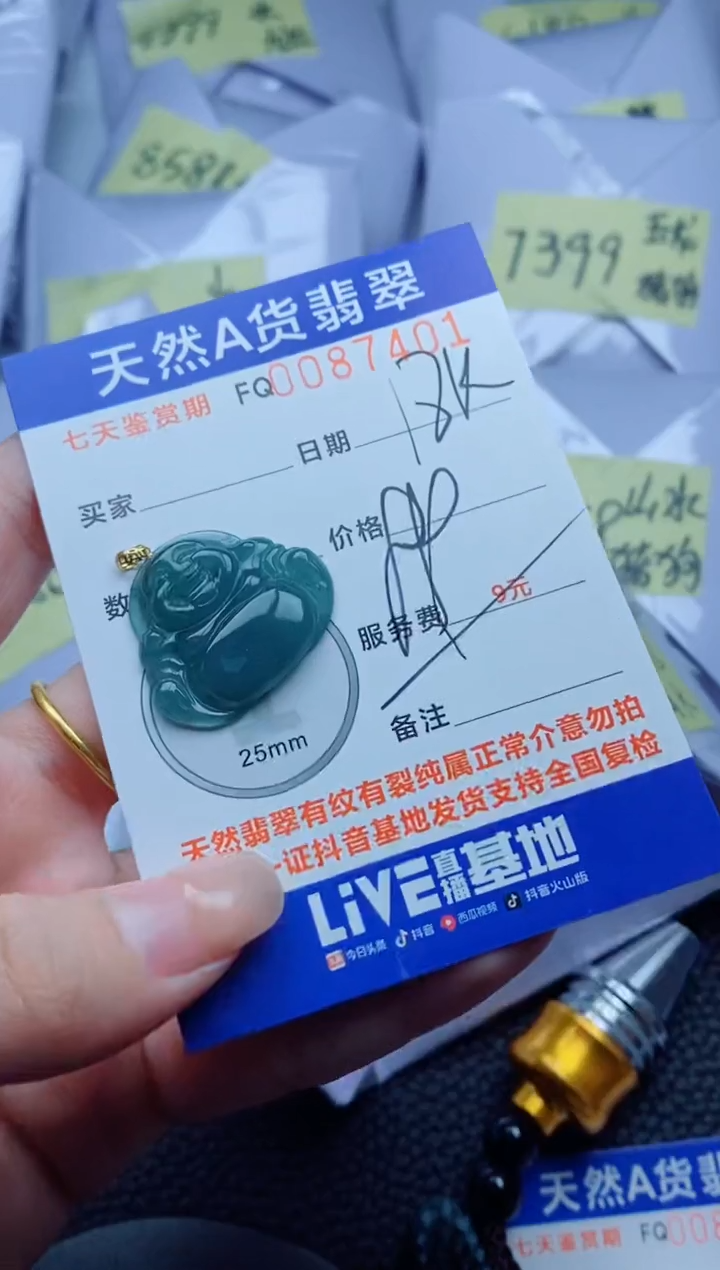 翡翠未镶嵌颈饰        