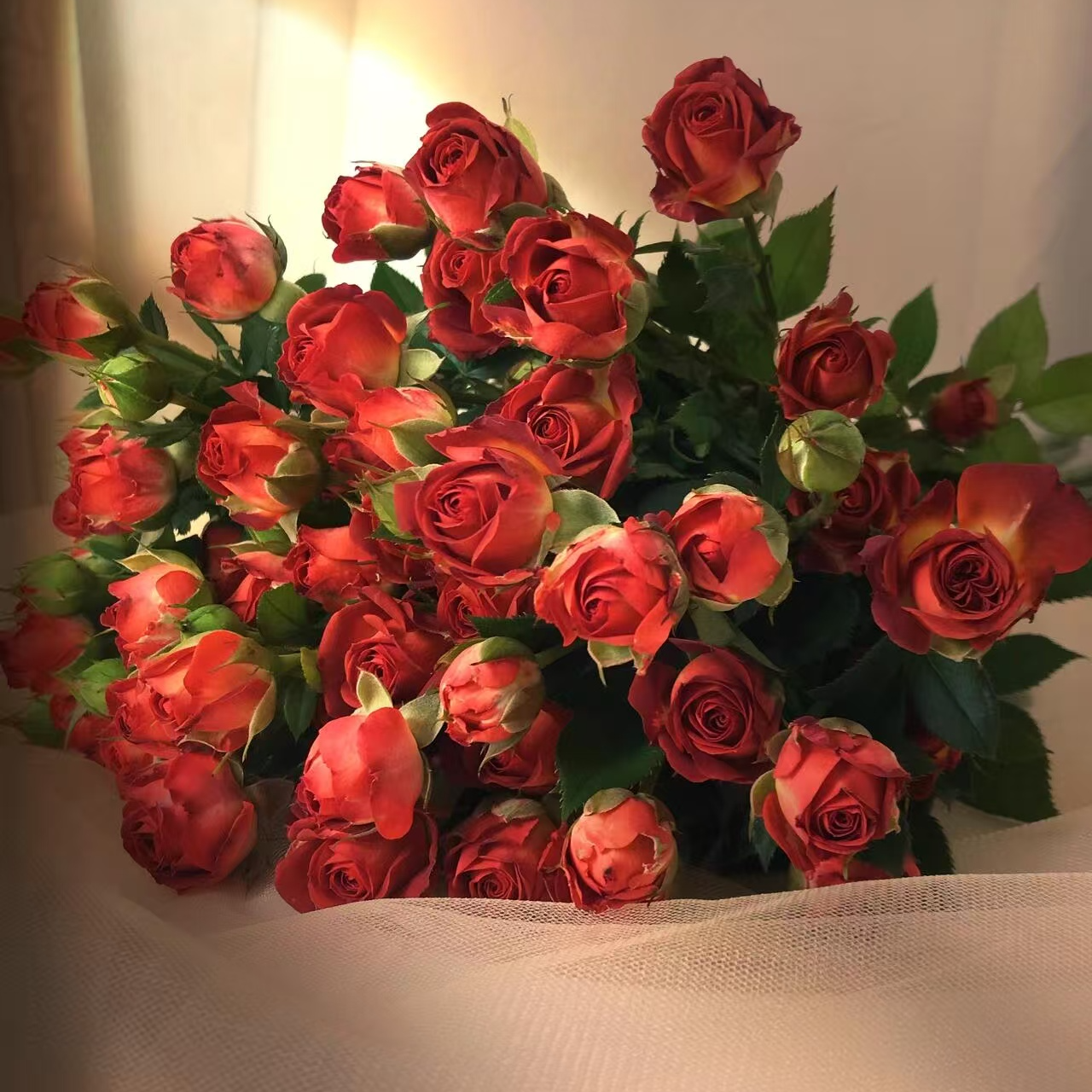 【巧克力泡泡多头玫瑰5枝】今天拍明天到，任意2单花花顺丰包邮+保鲜剂