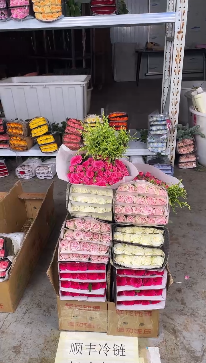 佛洛依德20枝+粉红20枝+骄傲20枝+苏菲10枝+黄莺