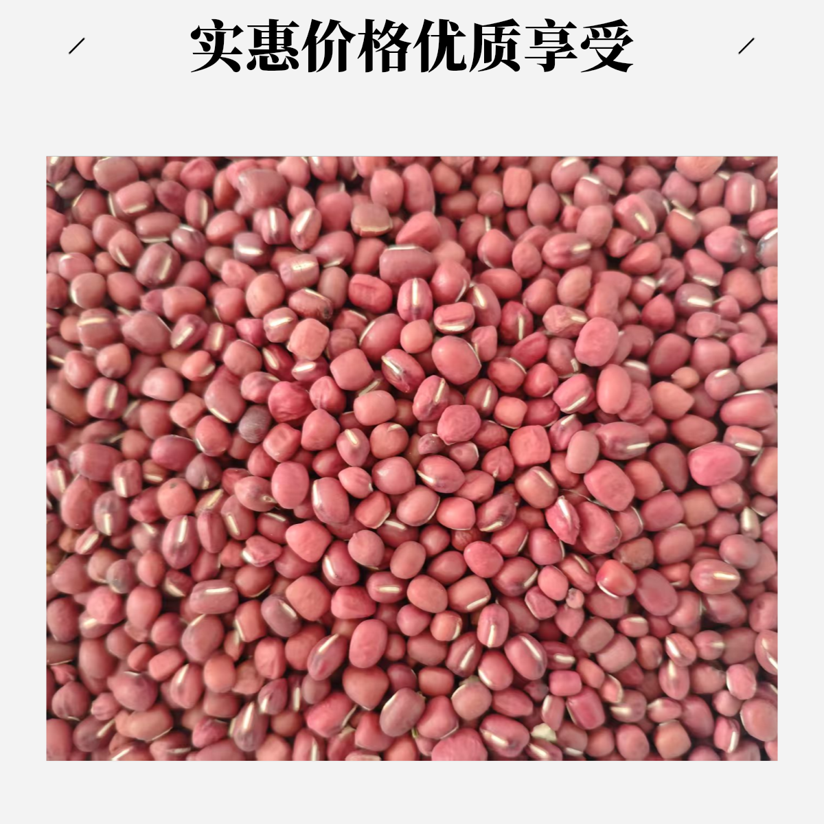 3斤霍庄村的红小豆