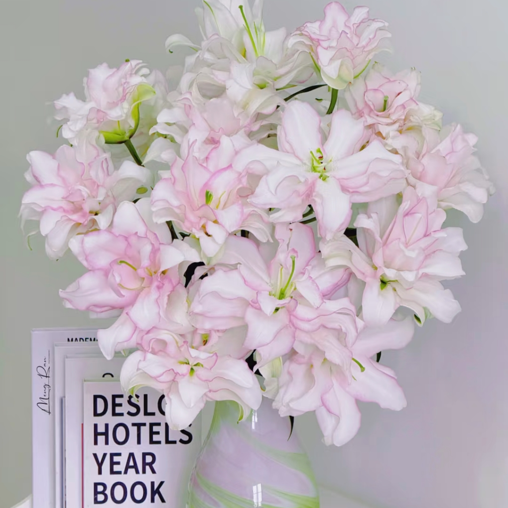 【两单顺丰一单中通】冰美人重瓣百合鲜花冰清玉洁家用办公水养鲜花