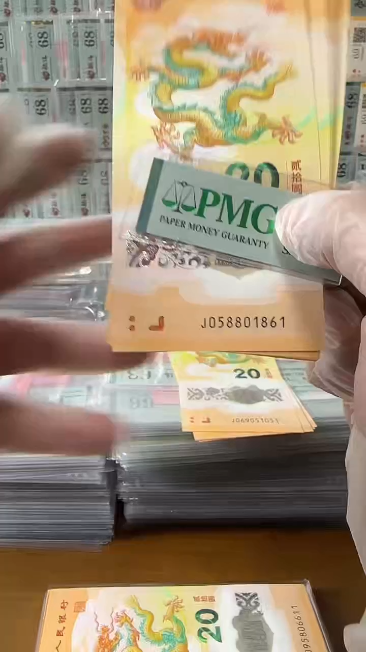 塑料058801861龙钞标十包PMG 