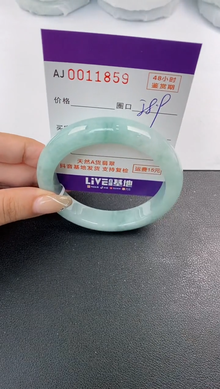 未镶嵌手镯翡翠天然A货翡翠