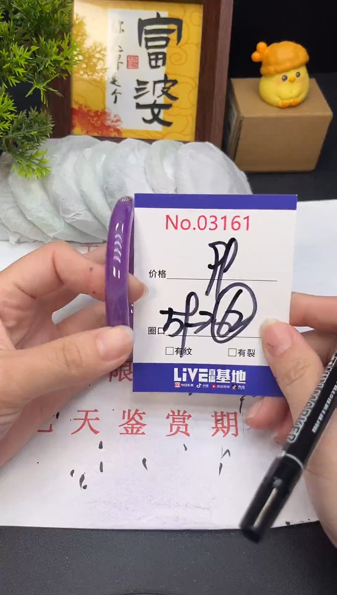 未镶嵌手镯翡翠许**城3161