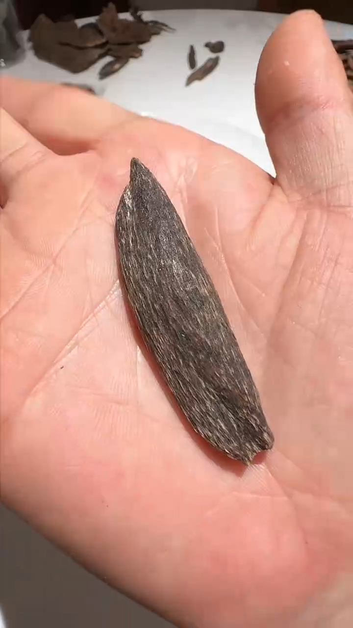 【闪购商品】沉香手把件海南虫眼2.4g