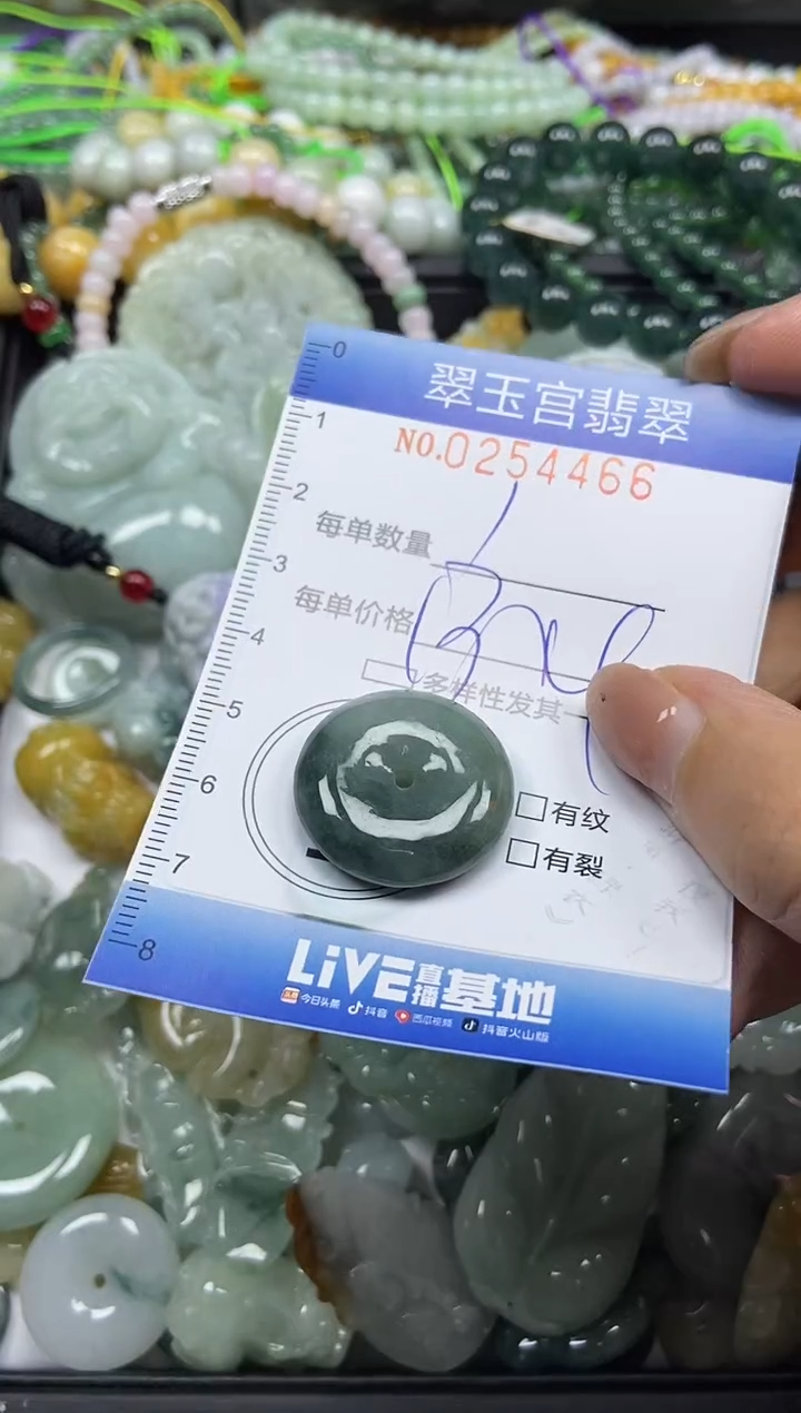 颈饰未镶嵌翡翠闪购C0254466