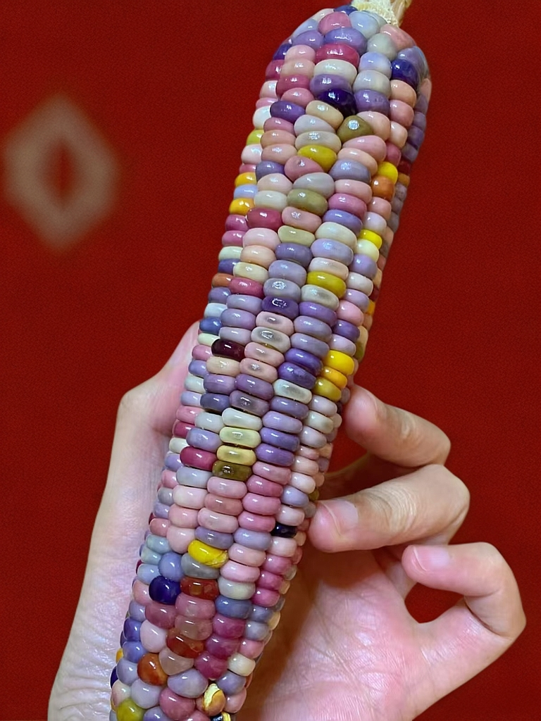 文玩玉米摆件手把件纯手工创意玉米文玩