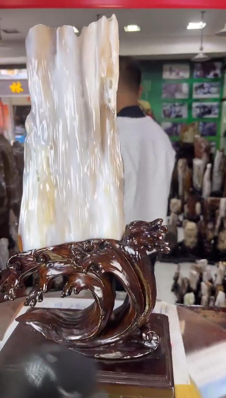 未镶嵌珠宝奇石硅化玉缅甸天然树化玉精品居家摆件