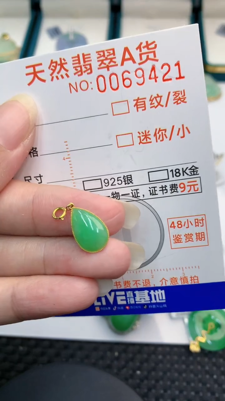 【闪购商品】翡翠颈饰18K金镶嵌            8