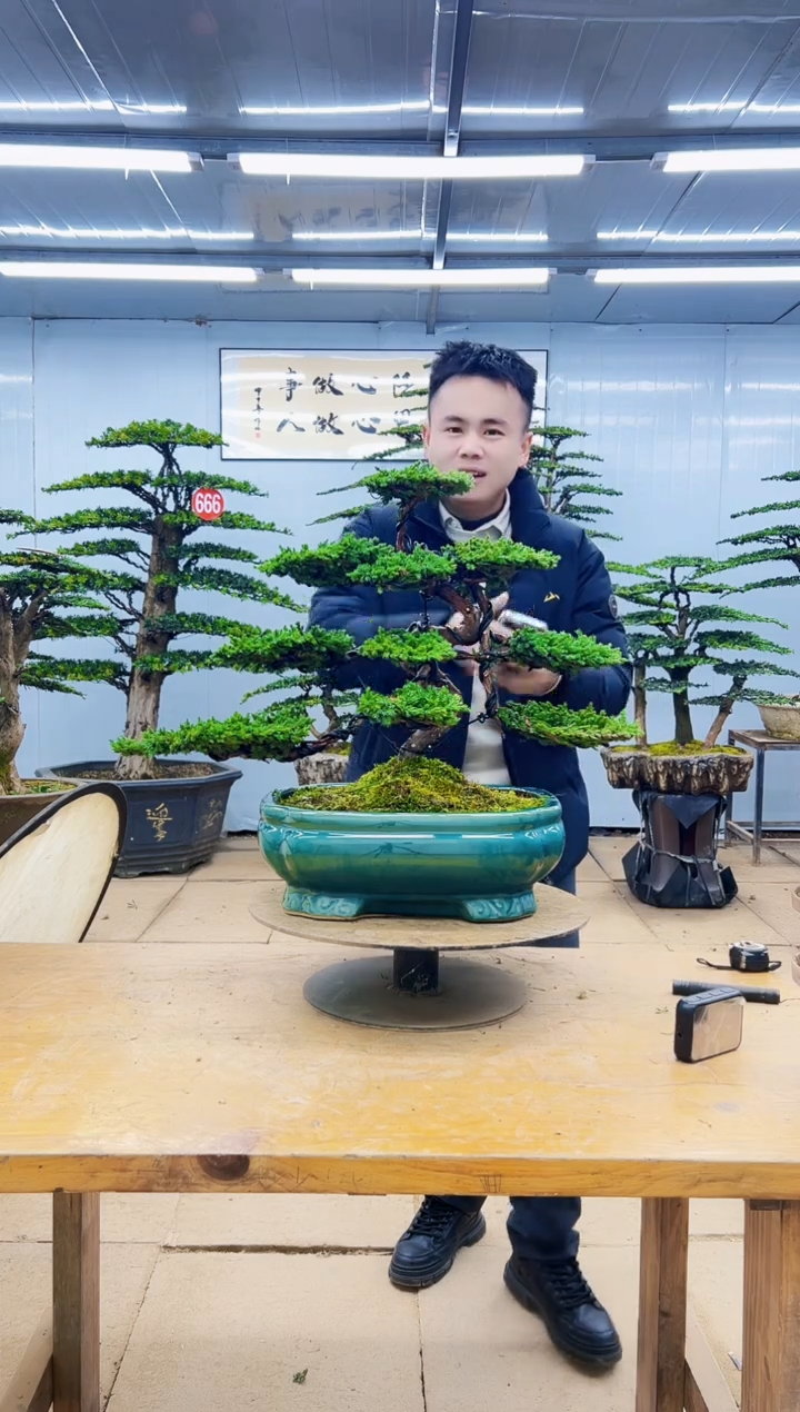 以实际为准000000000000000000000