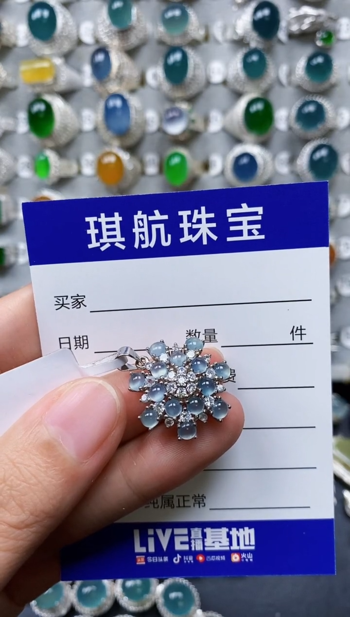 【闪购商品】翡翠颈饰银S925镶嵌0295