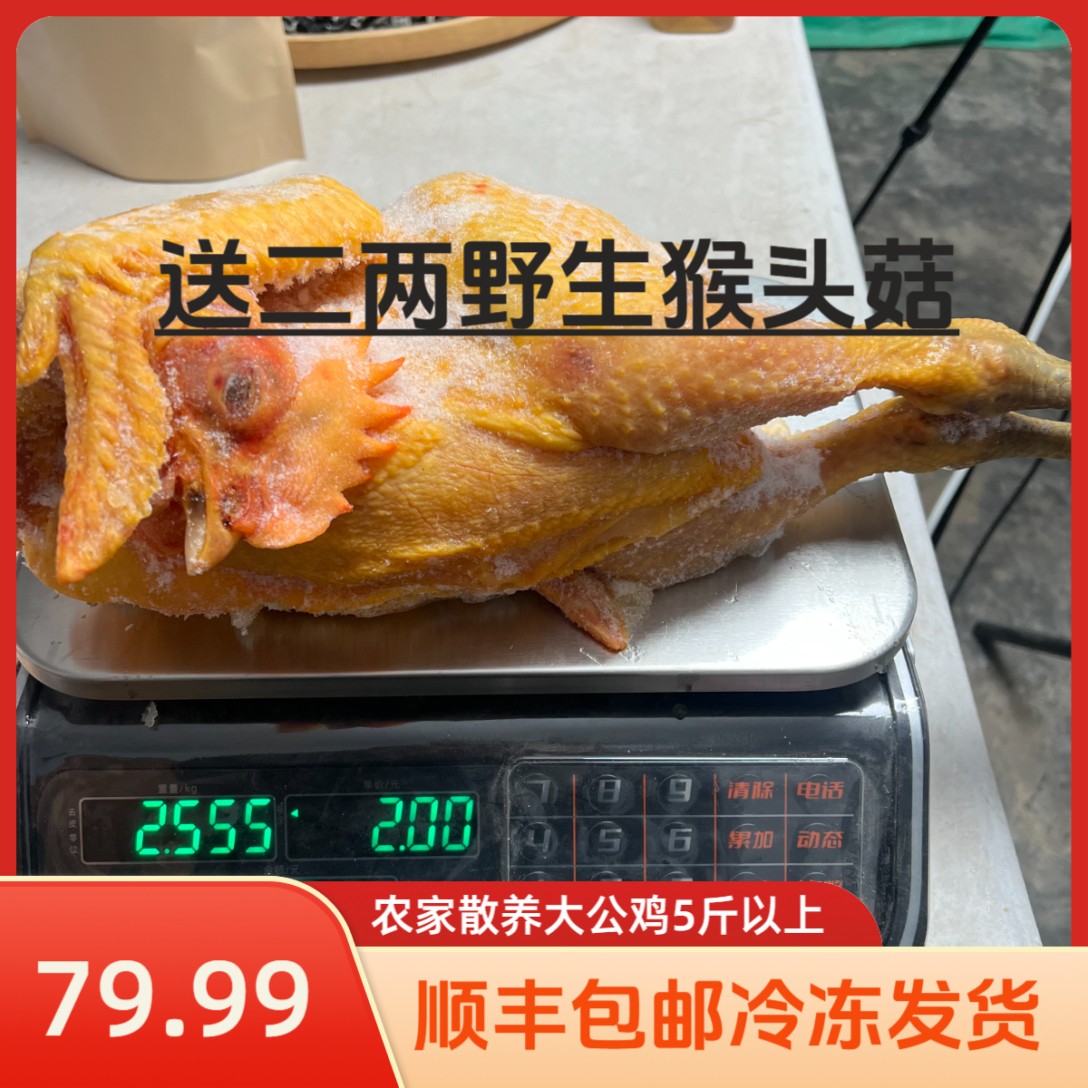 【顺丰包邮】农家散养大公鸡5斤以上【送野生猴头菇二两】冷冻发货