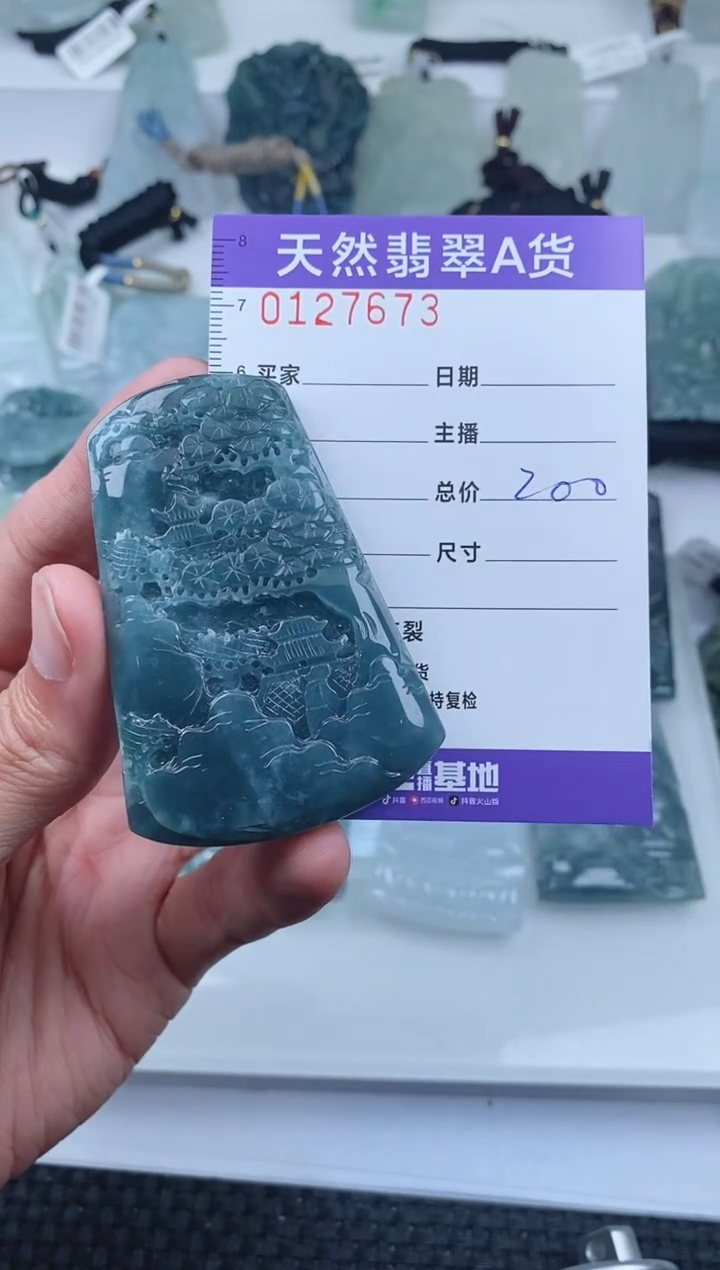 【闪购商品】翡翠颈饰未镶嵌     673