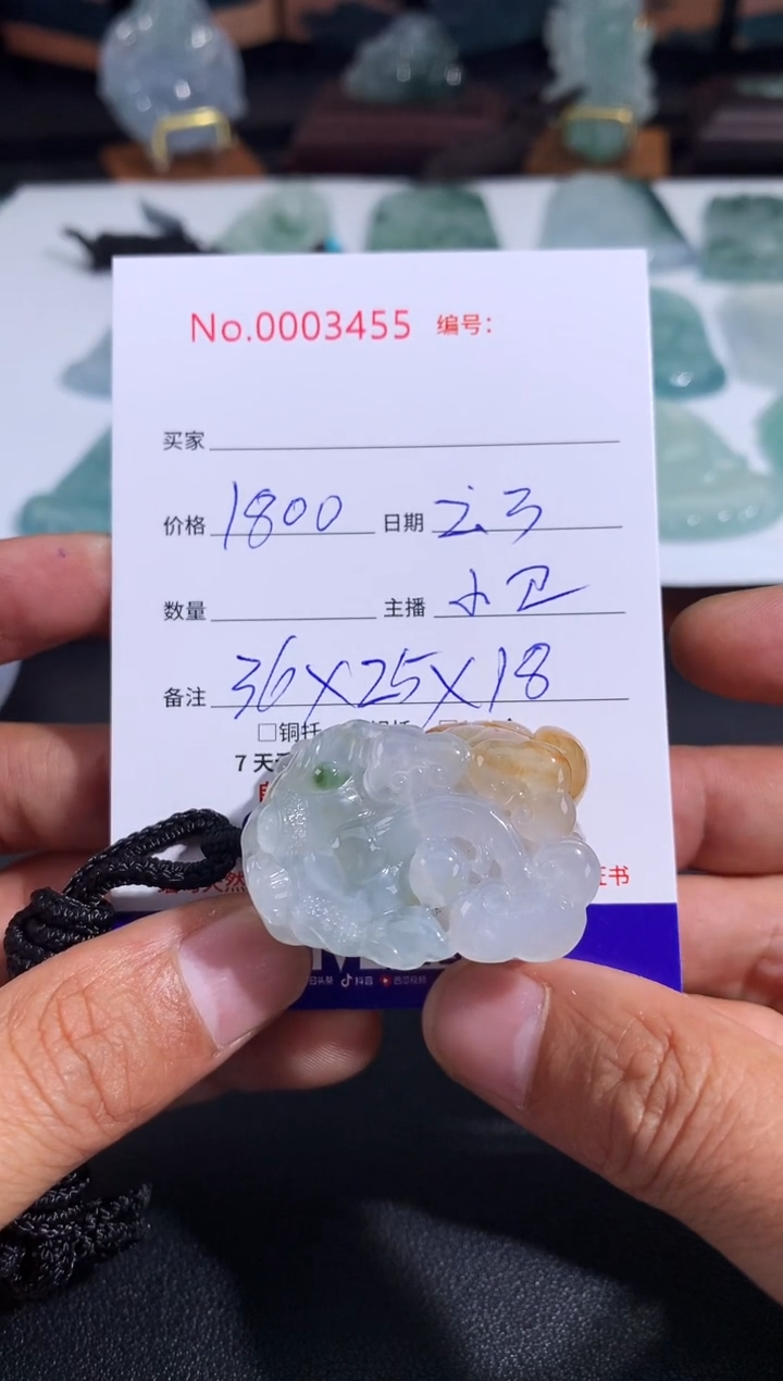 【闪购商品】翡翠颈饰未镶嵌貔貅