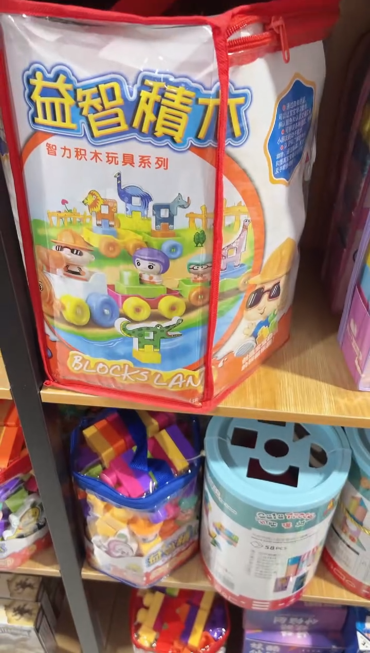 大号积木300颗   