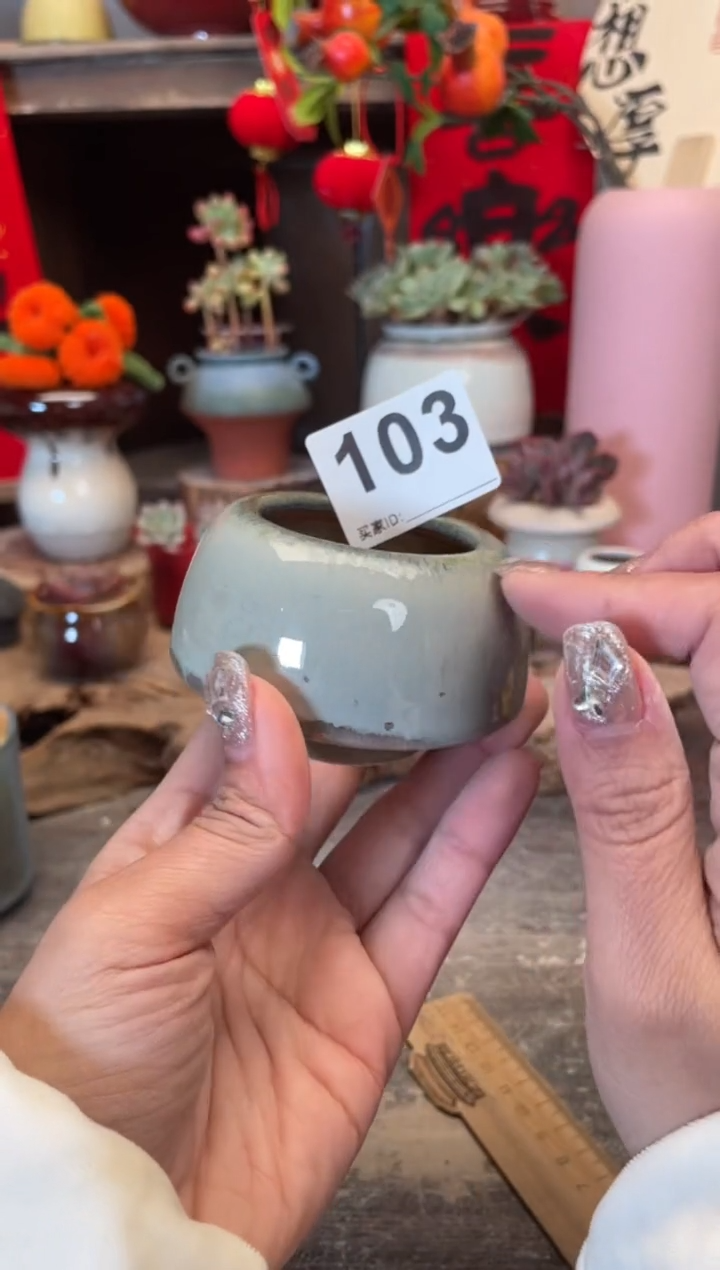 【闪购商品】摆件103知木小芳花盆