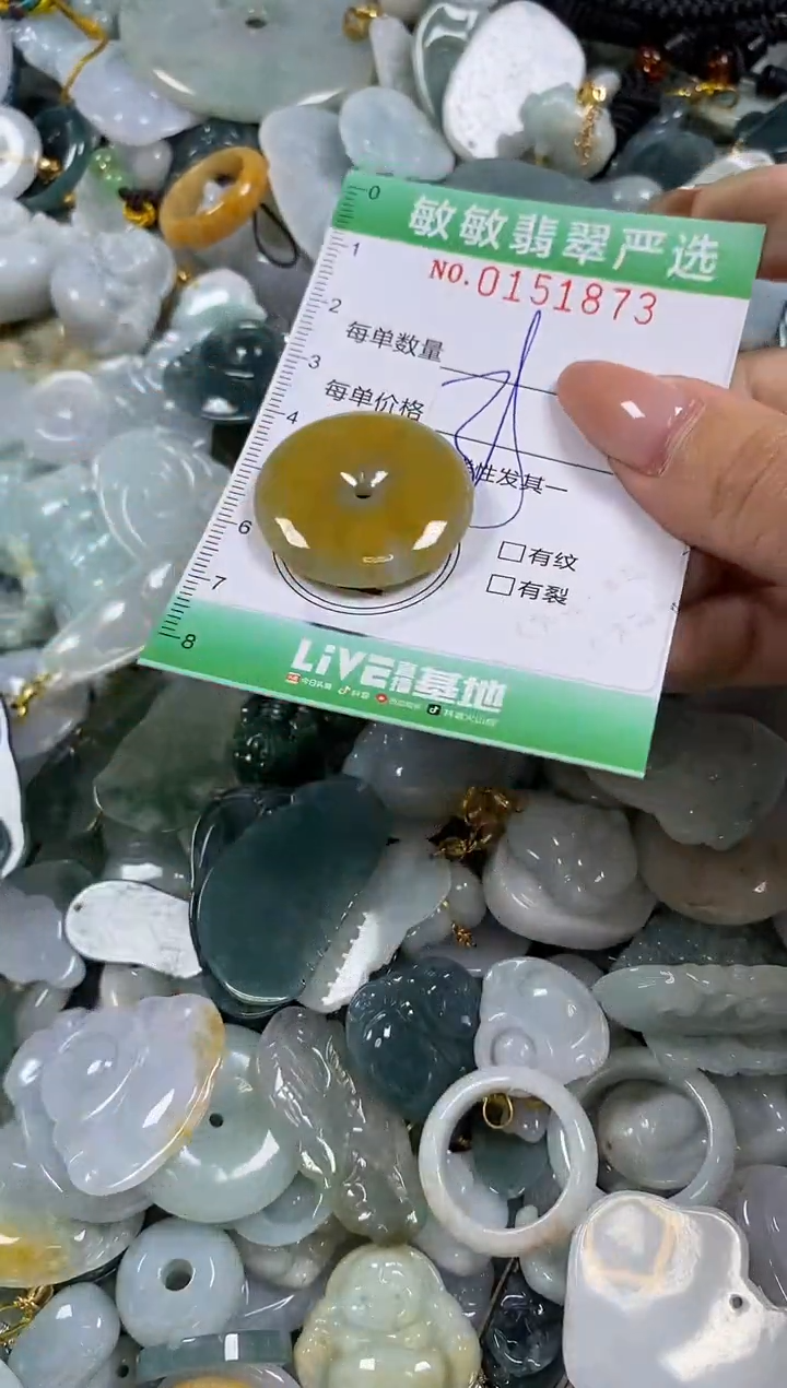 翡翠未镶嵌颈饰闪购0151873