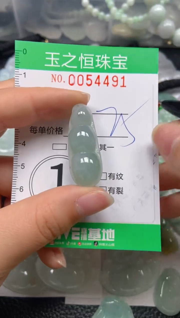 【闪购商品】翡翠未镶嵌颈饰闪购0054491